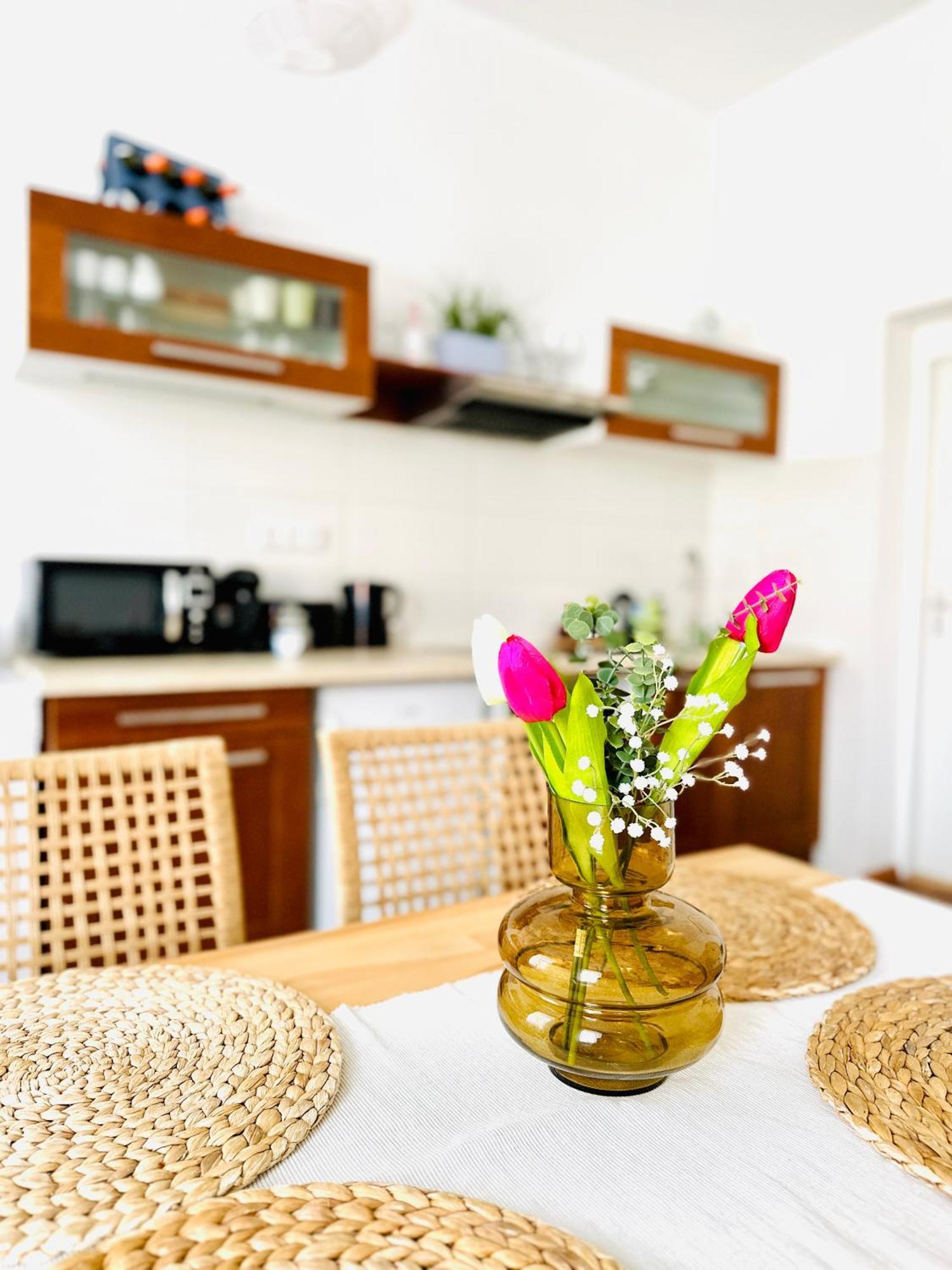 Apartman Na Zerotince 顺佩尔克 外观 照片