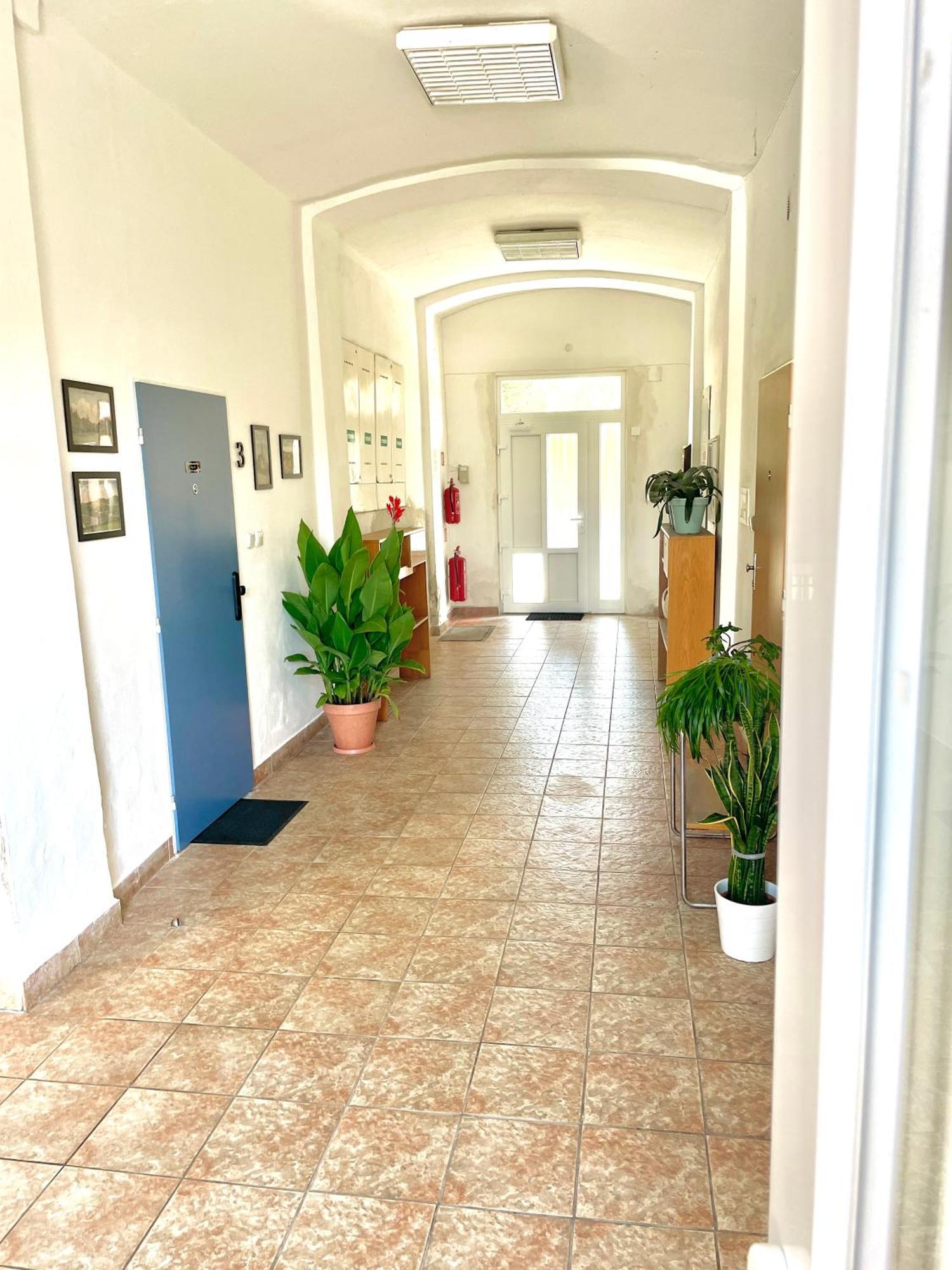 Apartman Na Zerotince 顺佩尔克 外观 照片